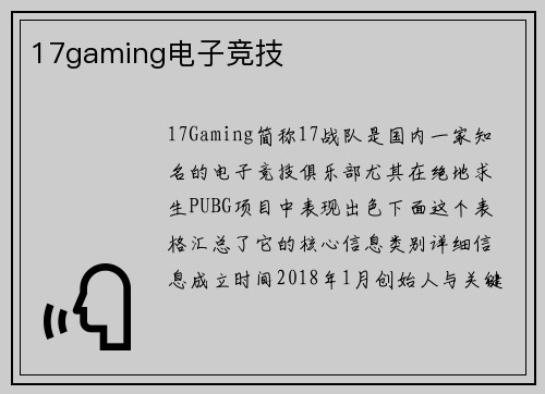 17gaming电子竞技